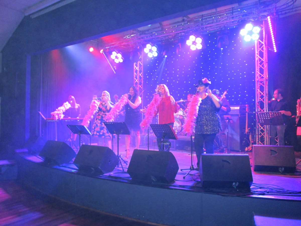 Sisters Doing it for Young&nbsp;Melksham