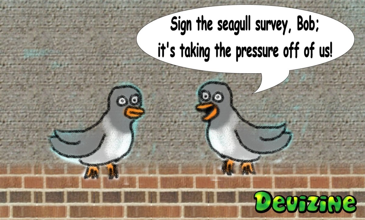 Sign the Seagull Survey,&nbsp;Bob!