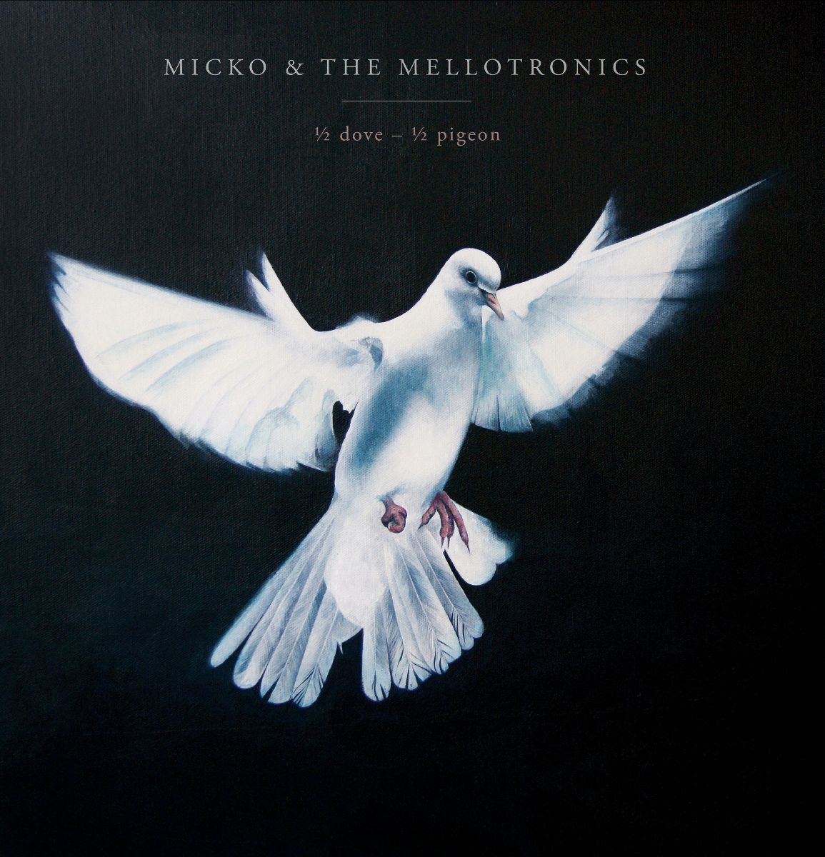 1/2 Dove – 1/2 Pigeon with Micko and the&nbsp;Mellotronics