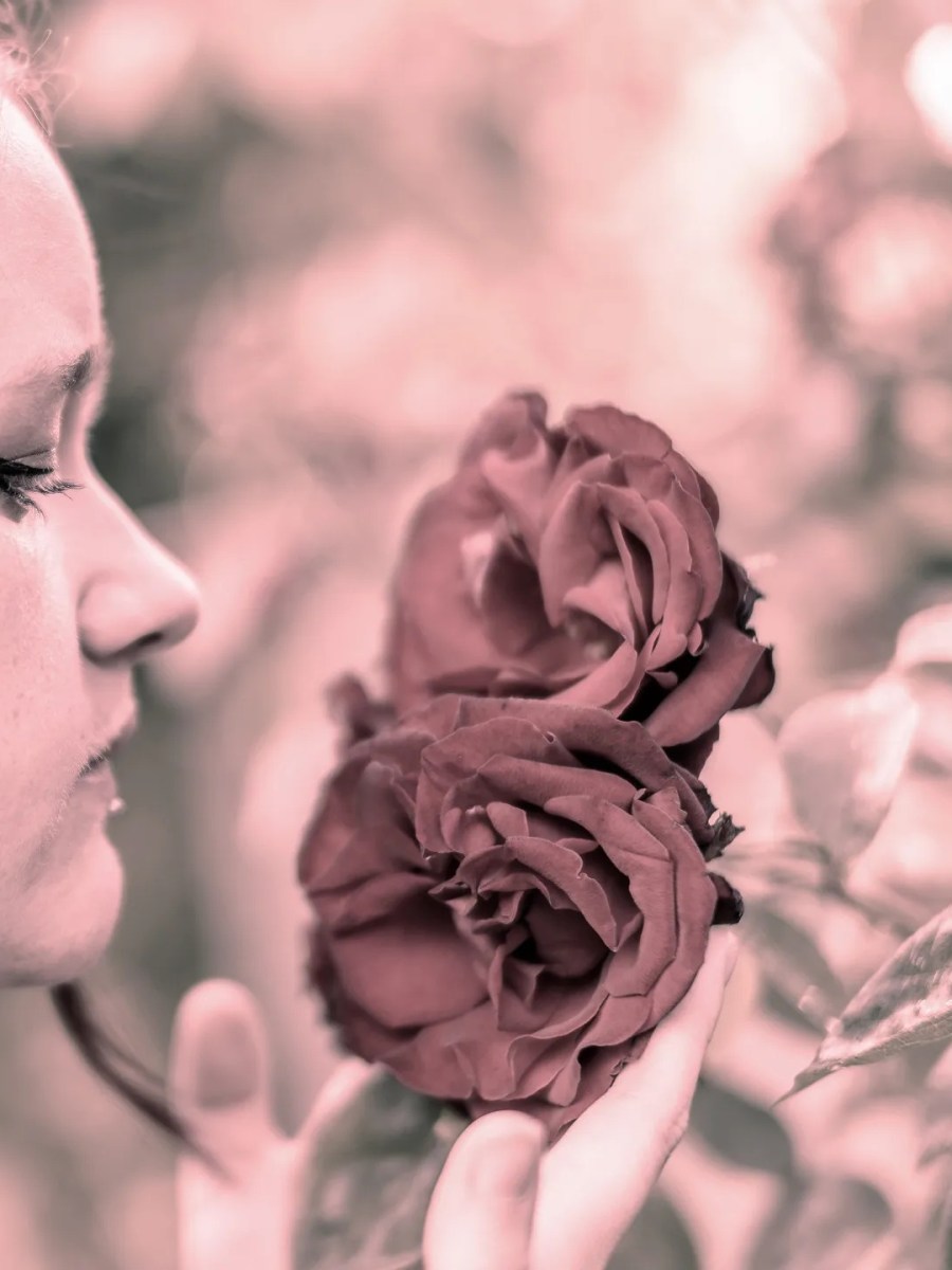 Sing Another Love Song with Rosie&nbsp;Jay