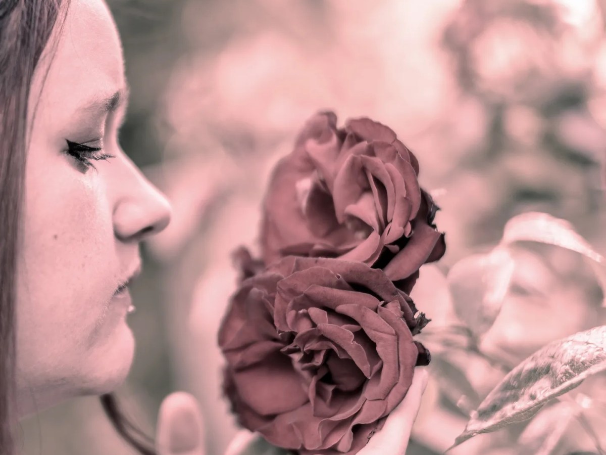 Sing Another Love Song with Rosie&nbsp;Jay