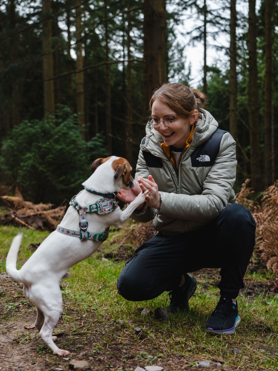 Discover the perfect destination for Walk Your Dog Month at Nightingale&nbsp;Wood