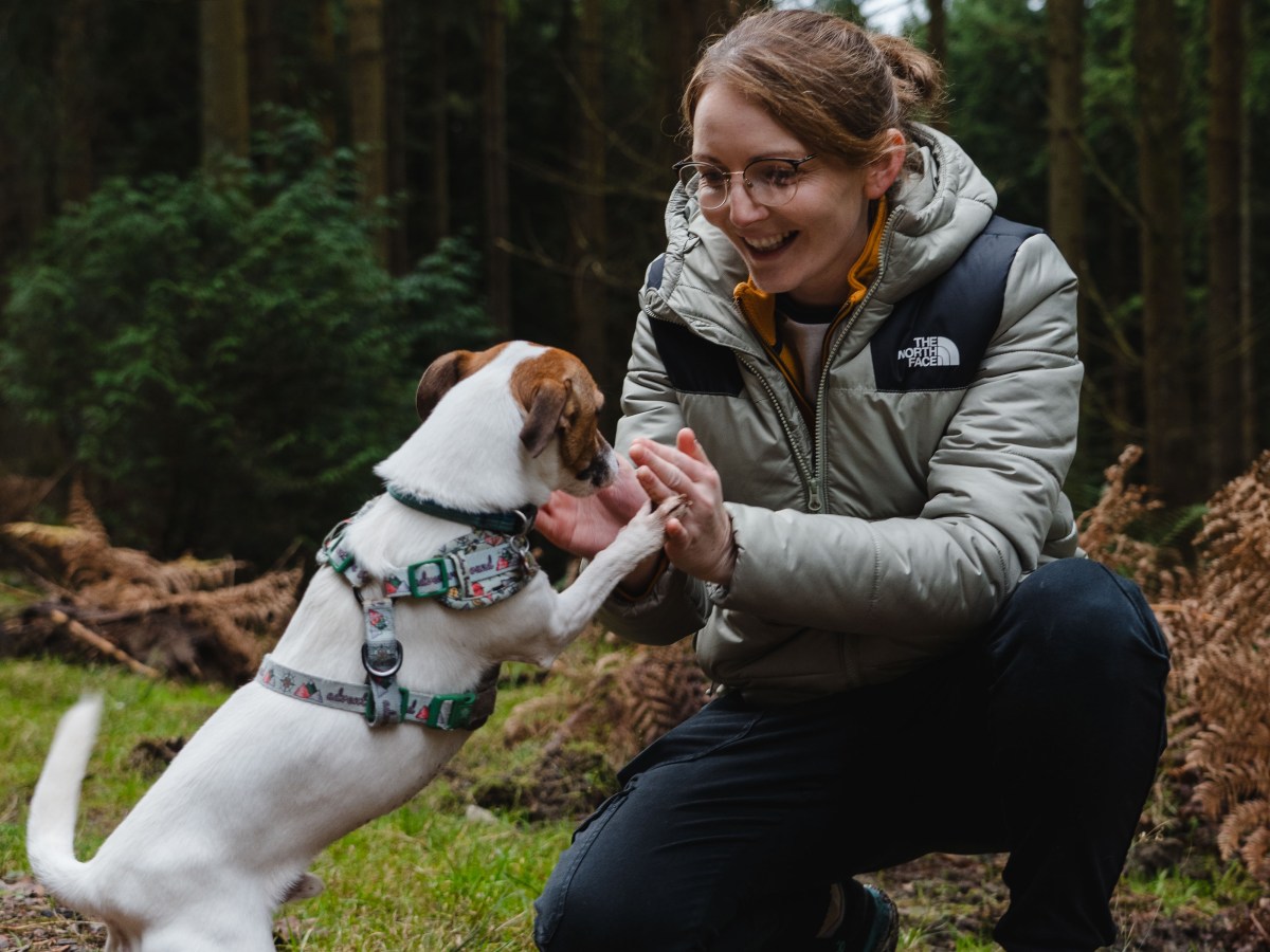 Discover the perfect destination for Walk Your Dog Month at Nightingale&nbsp;Wood