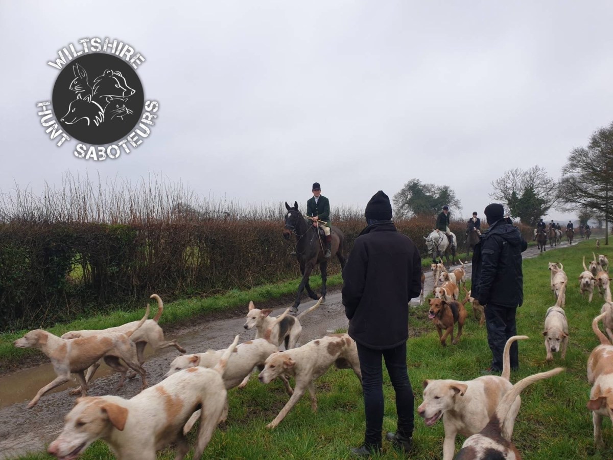 Drone Dogfight; Beaufort Hunters Attack Sabs’&nbsp;Drone