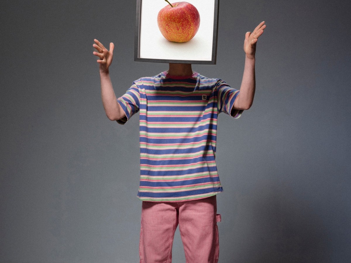 Gecko’s Big Picture