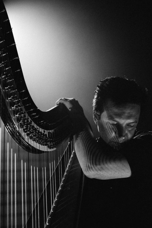 Florence & The Machine Harpist Among Musicians at Frome Festival’s Fundraising&nbsp;Launch
