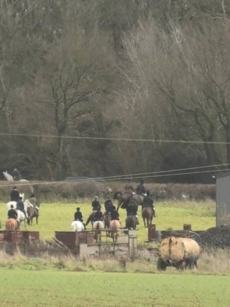 Ha! Let’s Laugh at Hunt&nbsp;Supporters!