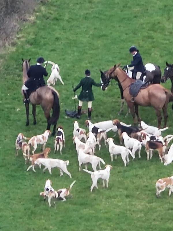 Wiltshire Hunt Sabs Stolen Drone Footage Reveals a Beaufont Hunt&nbsp;Kill