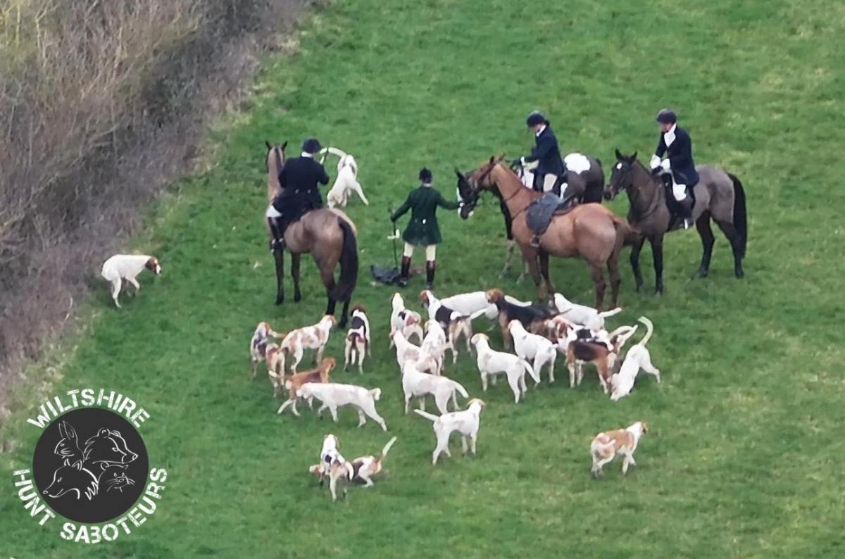 Wiltshire Hunt Sabs Stolen Drone Footage Reveals a Beaufont Hunt&nbsp;Kill