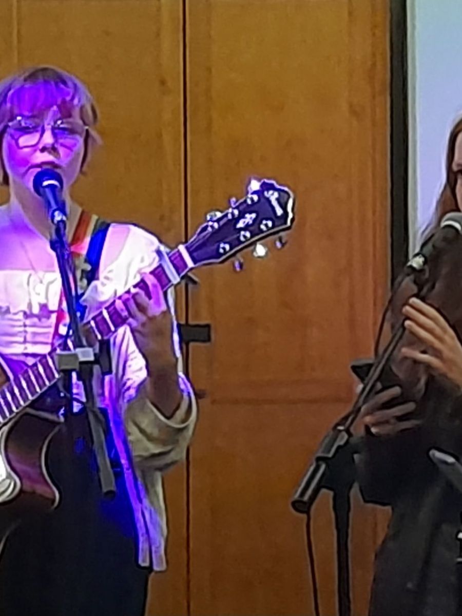 Live Music in Devizes, Anyone? Meg & Seren at The&nbsp;Fold