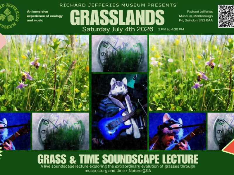 National Meadows Day: The Grass & Time Soundscape Lecture at Richard Jefferies&nbsp;Museum
